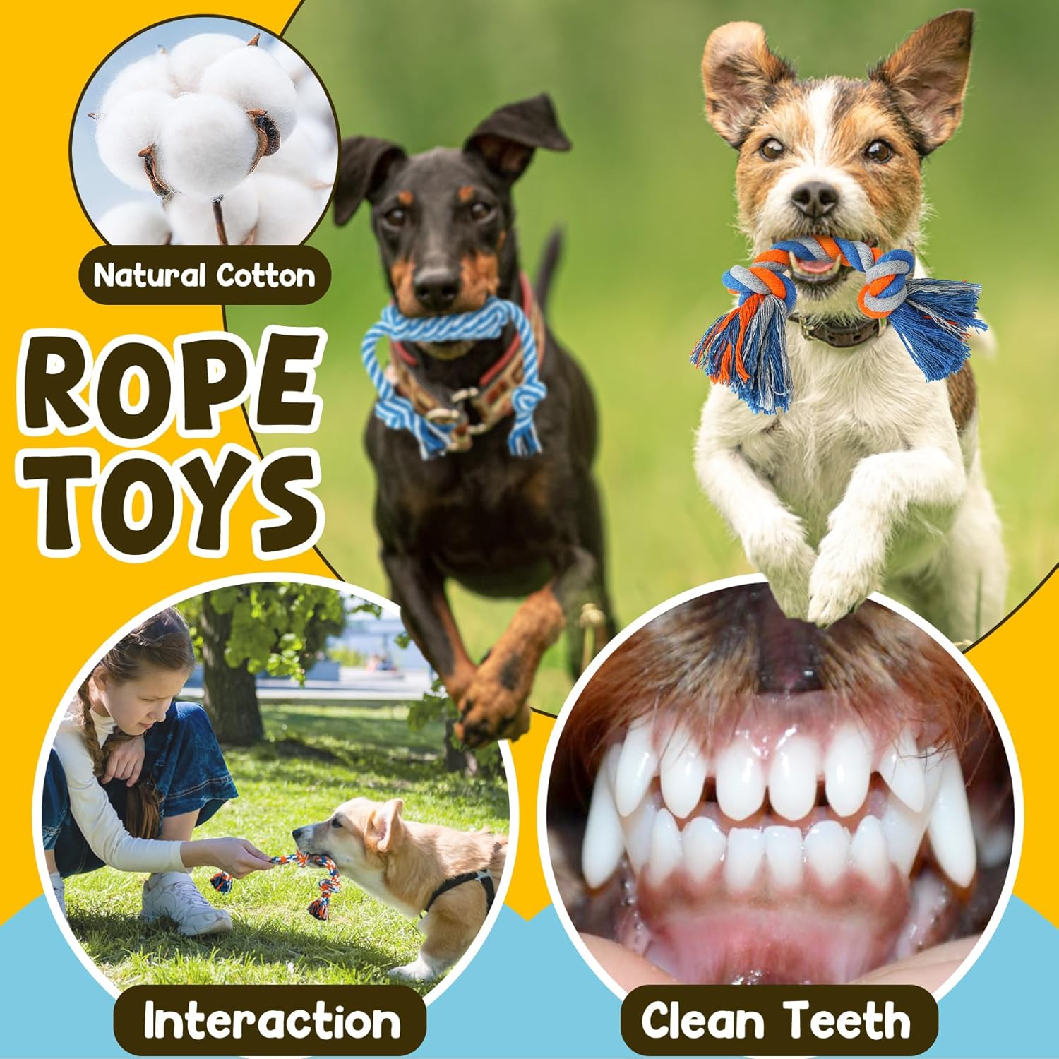 Zeaxuie 9 Pack Luxury Puppy Toys for Teething Small Dogs, Puppy Chew Toys with Cute Squeaky Dog Toys, Ball and More Rope Dog Chew Toys - Pawhive
